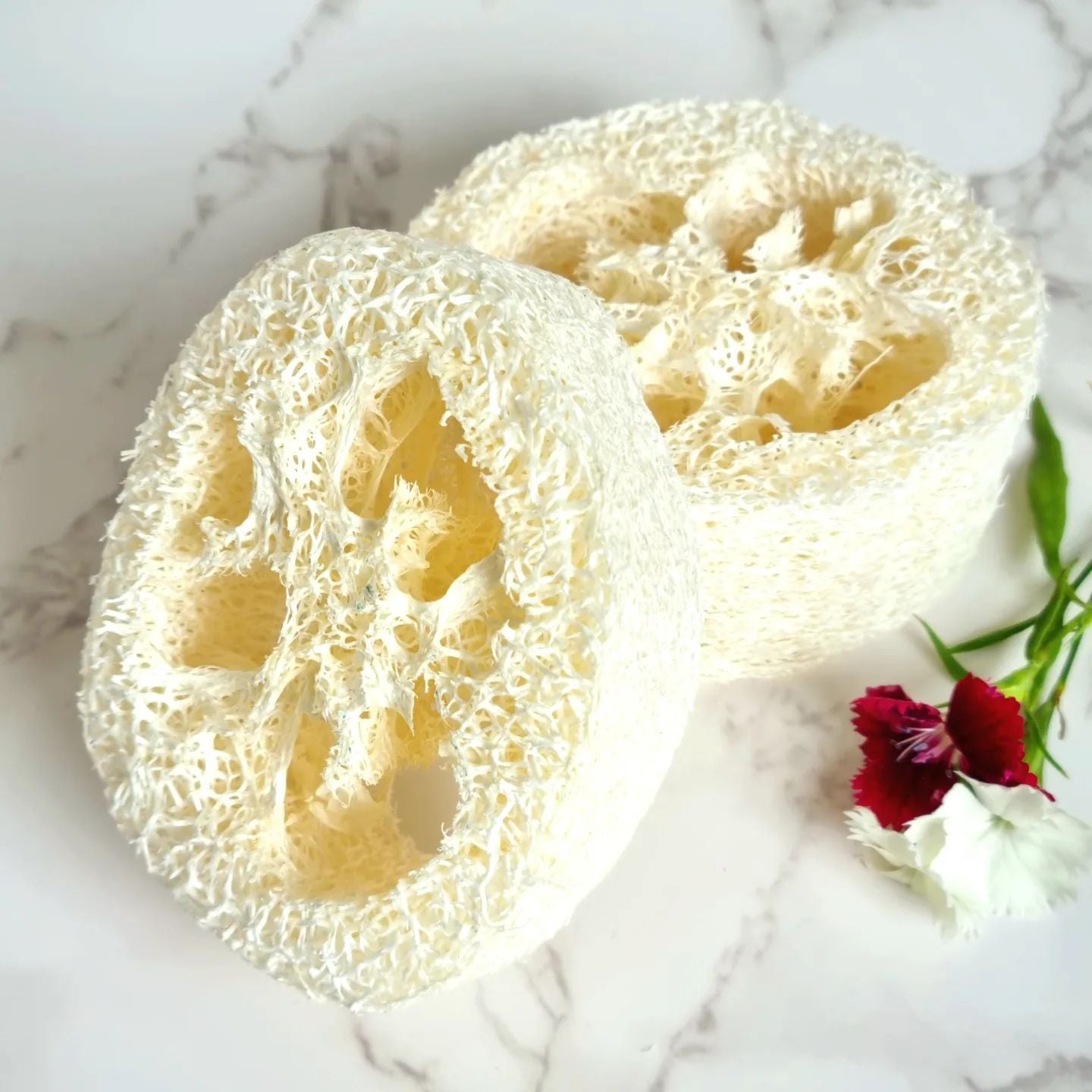 Loofah Soap Rest
